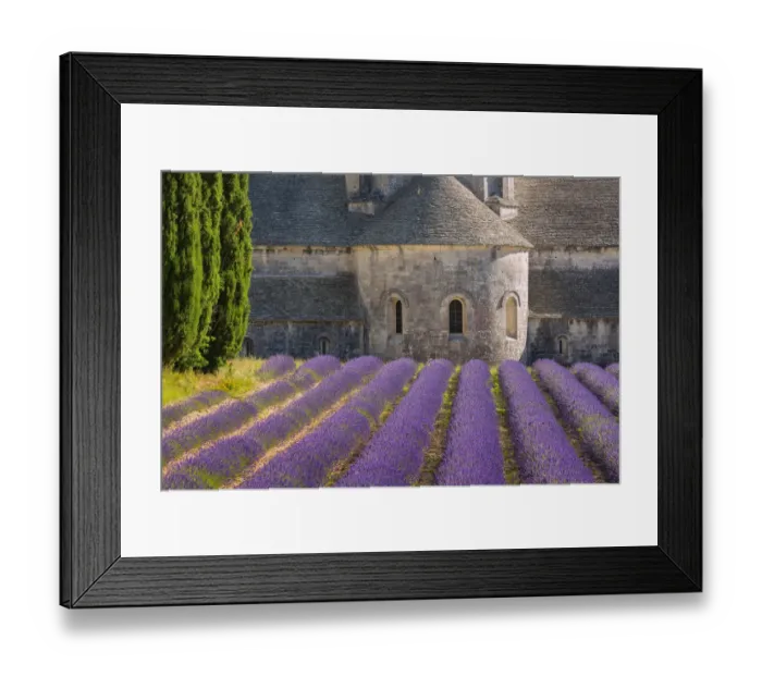 Framed Print : Europe, France, Provence. Lavender field and Senanque Abbey Framed Print : Europe, France, Provence. Lavender field and Senanque Abbey