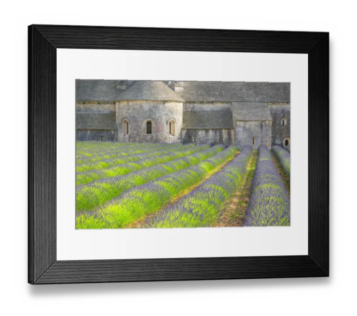 Framed Print : Europe, France, Provence. Lavender field and Senanque Abbey