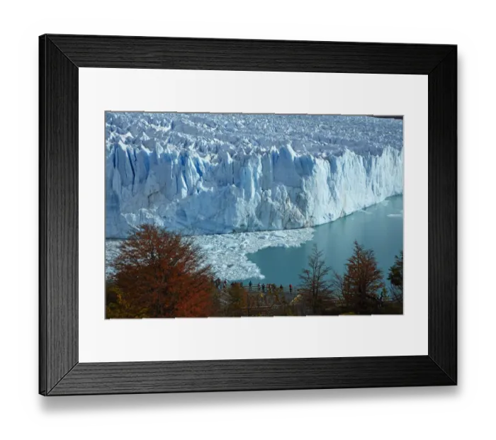 Framed Print : Perito Moreno Glacier, lenga trees in autumn and tourists on walkway, Parque Nacional Los Glaciares Framed Print : Perito Moreno Glacier, lenga trees in autumn and tourists on walkway, Parque Nacional Los Glaciares