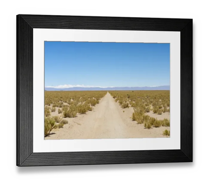 Framed Print : The track RN 38. Landscape near the salt flats Salar Salinas Grandes in the Altiplano, Argentina Framed Print : The track RN 38. Landscape near the salt flats Salar Salinas Grandes in the Altiplano, Argentina
