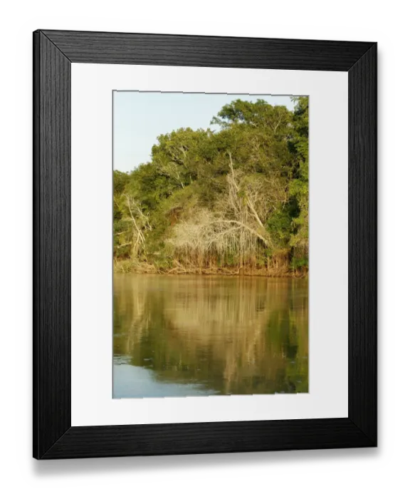 Framed Print : Pantanal, Mato Grosso, Brazil. Forest and its reflection seen along the Cuiaba River Framed Print : Pantanal, Mato Grosso, Brazil. Forest and its reflection seen along the Cuiaba River