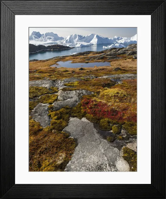 Framed Print : Ilulissat Icefjord, a UNESCO World Heritage Site, also called kangia or Ilulissat