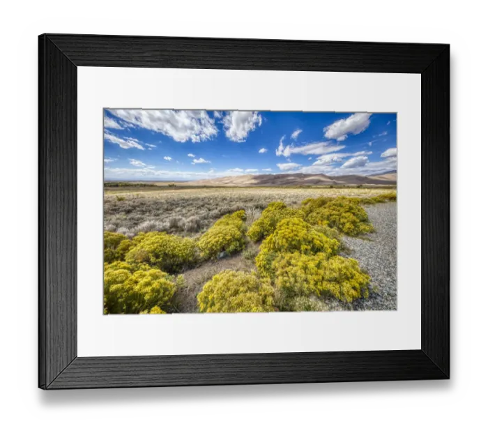 Framed Print : USA, Colorado, Great Sand Dunes National Park and Preserve. Grassy plain landscape