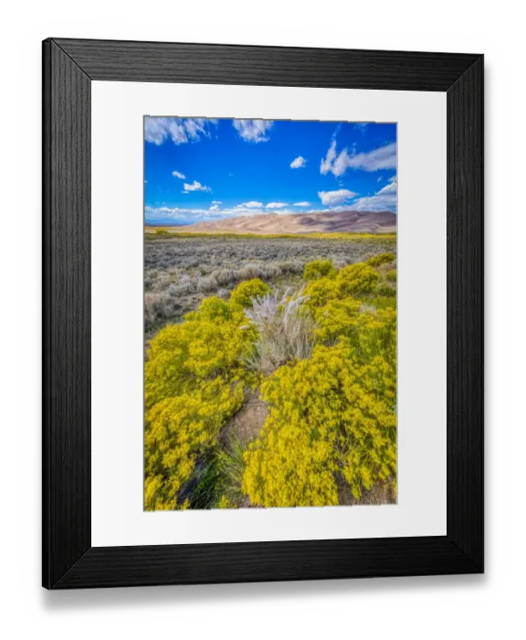 Framed Print : USA, Colorado, Great Sand Dunes National Park and Preserve. Grassy plain landscape