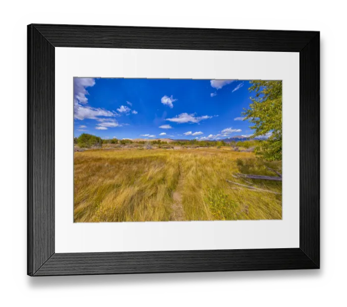 Framed Print : USA, Colorado, Great Sand Dunes National Park and Preserve. Grassy plain landscape Framed Print : USA, Colorado, Great Sand Dunes National Park and Preserve. Grassy plain landscape