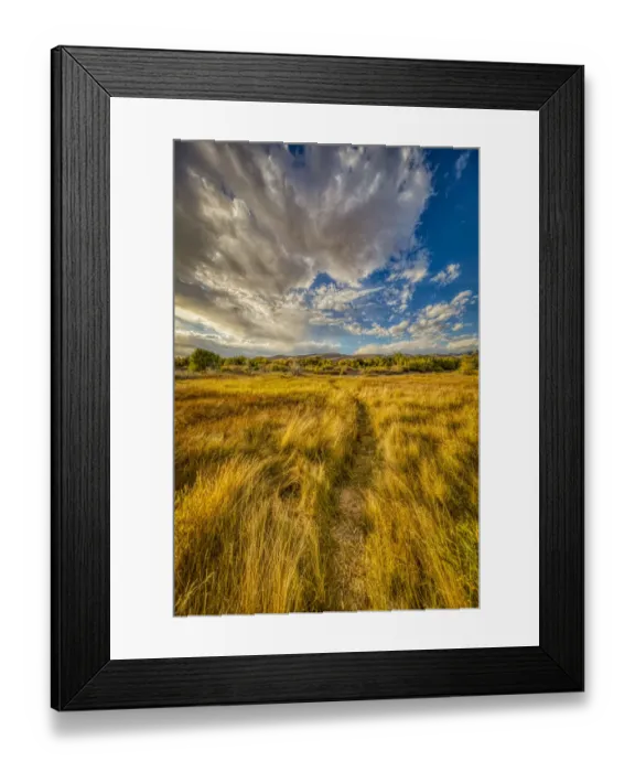 Framed Print : USA, Colorado, Great Sand Dunes National Park and Preserve. Grassy plain landscape