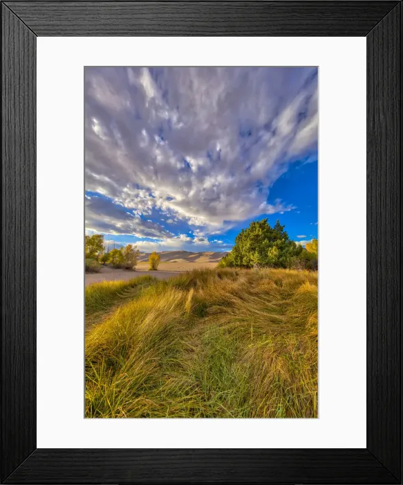 Framed Print : USA, Colorado, Great Sand Dunes National Park and Preserve. Grassy plain landscape Framed Print : USA, Colorado, Great Sand Dunes National Park and Preserve. Grassy plain landscape