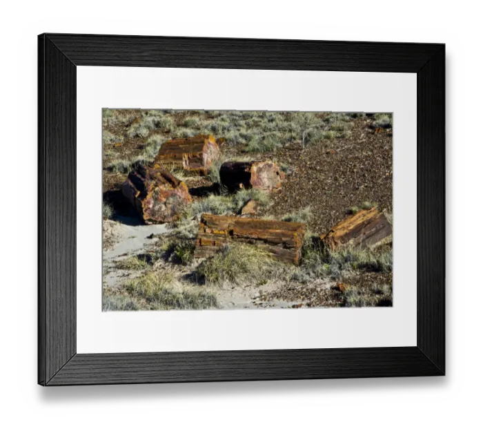 Framed Print : Petrified Forest National Park, Holbrook, Arizona, USA