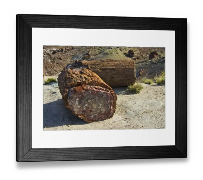 Framed Print : Petrified logs, Petrified Forest National Park, Holbrook, Arizona, USA Framed Print : Petrified logs, Petrified Forest National Park, Holbrook, Arizona, USA