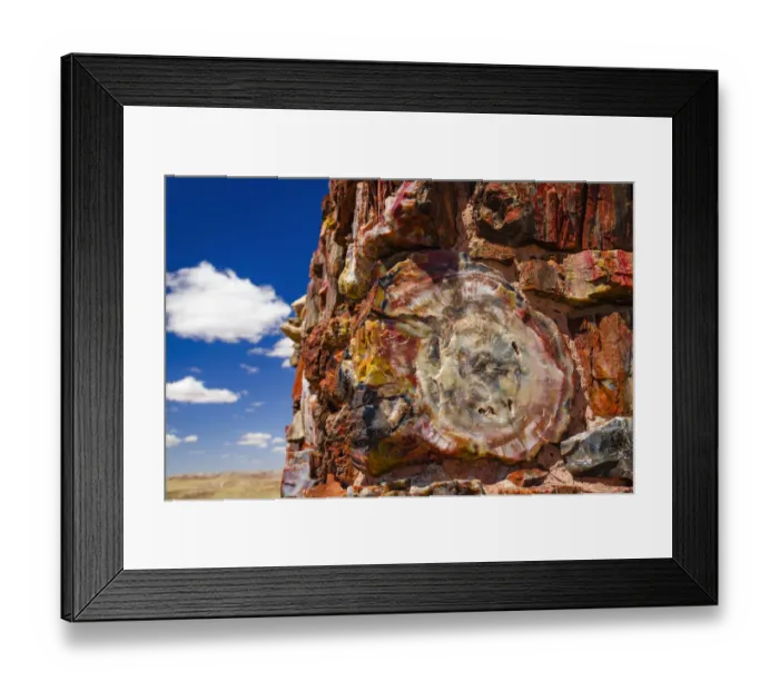 Framed Print : Agate House, Petrified Forest National Park, Arizona, USA Framed Print : Agate House, Petrified Forest National Park, Arizona, USA