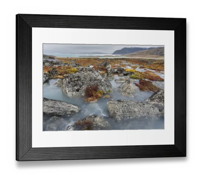 Framed Print : Tundra near glacier Eqip (Eqip Sermia) in western Greenland, Denmark Framed Print : Tundra near glacier Eqip (Eqip Sermia) in western Greenland, Denmark