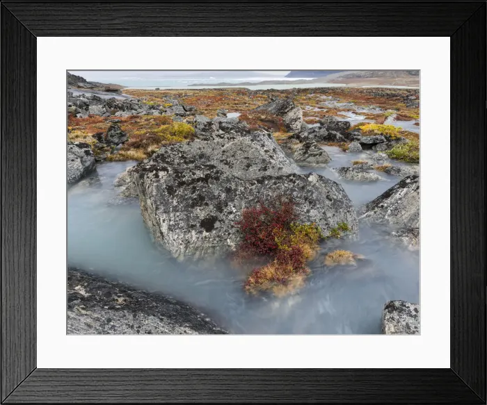 Framed Print : Tundra near glacier Eqip (Eqip Sermia) in western Greenland, Denmark