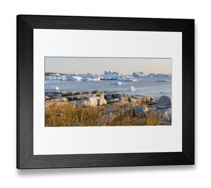 Framed Print : Coastal landscape with Icebergs. Inuit village Oqaatsut (once called Rodebay) located in Disko Bay Framed Print : Coastal landscape with Icebergs. Inuit village Oqaatsut (once called Rodebay) located in Disko Bay