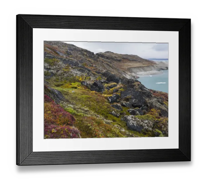 Framed Print : Tundra near glacier Eqip (Eqip Sermia) in western Greenland, Denmark Framed Print : Tundra near glacier Eqip (Eqip Sermia) in western Greenland, Denmark