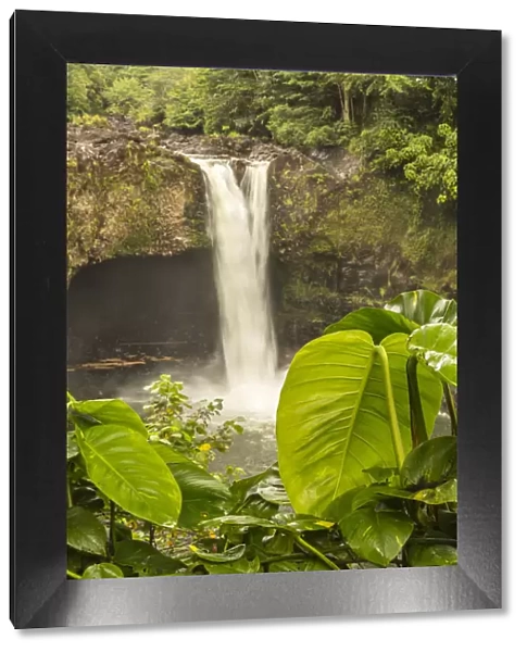 USA, Hawaii, Rainbow Falls. Waterfall and tropical landscape