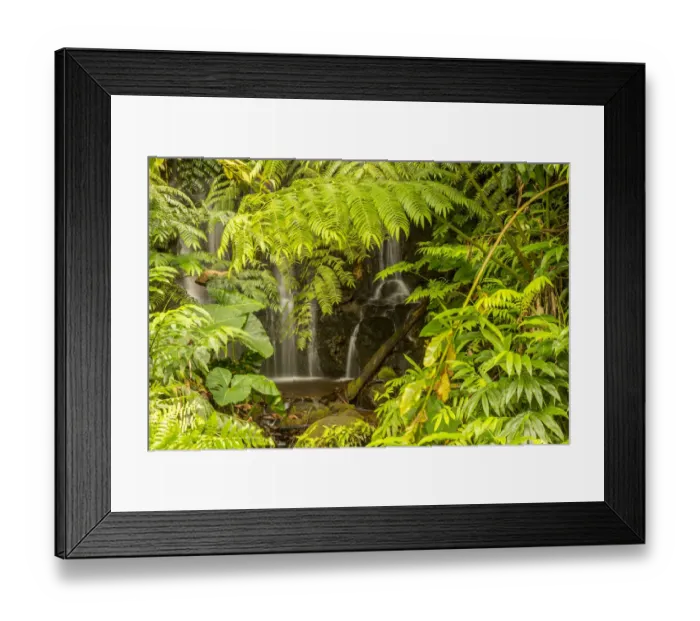 Framed Print : USA, Hawaii, Akaka Falls State Park. Akaka Falls and tropical vegetation. Credit as Framed Print : USA, Hawaii, Akaka Falls State Park. Akaka Falls and tropical vegetation. Credit as