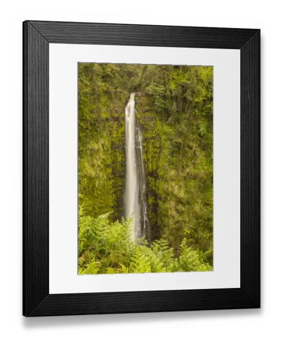 Framed Print : USA, Hawaii, Akaka Falls State Park. Akaka Falls and tropical vegetation on cliff Framed Print : USA, Hawaii, Akaka Falls State Park. Akaka Falls and tropical vegetation on cliff