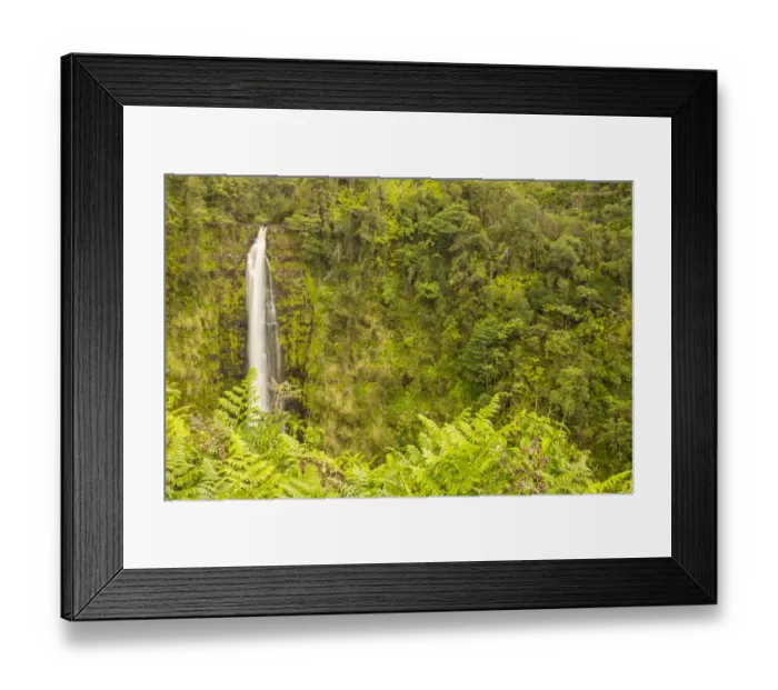 Framed Print : USA, Hawaii, Akaka Falls State Park. Akaka Falls and tropical vegetation on cliff