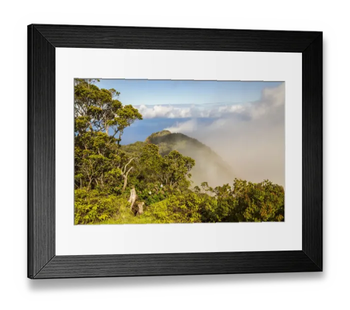 Framed Print : USA, Hawaii, Kauai. Overview of Kokee State Park Framed Print : USA, Hawaii, Kauai. Overview of Kokee State Park