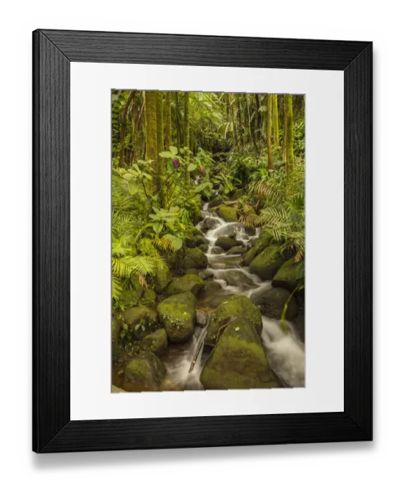 Framed Print : USA, Hawaii, Hawaii Tropical Botanical Garden. Tropical stream cascade over rocks Framed Print : USA, Hawaii, Hawaii Tropical Botanical Garden. Tropical stream cascade over rocks
