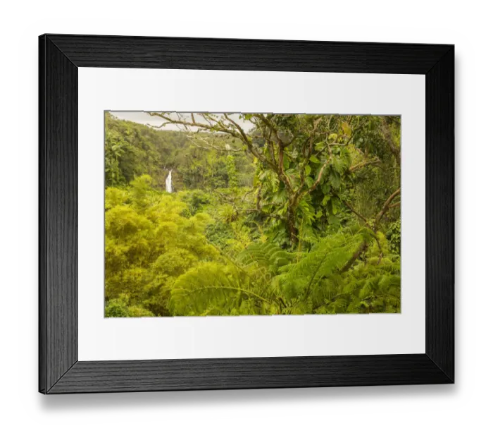 Framed Print : USA, Hawaii, Akaka Falls State Park. Akaka Falls and tropical vegetation. Credit as Framed Print : USA, Hawaii, Akaka Falls State Park. Akaka Falls and tropical vegetation. Credit as