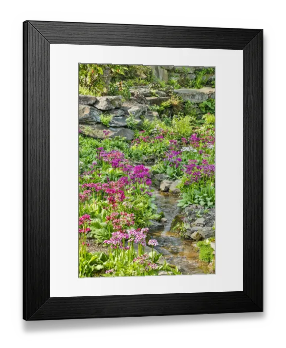 Framed Print : USA, Delaware, Wilmington. Brook running between rocks and flowers Framed Print : USA, Delaware, Wilmington. Brook running between rocks and flowers