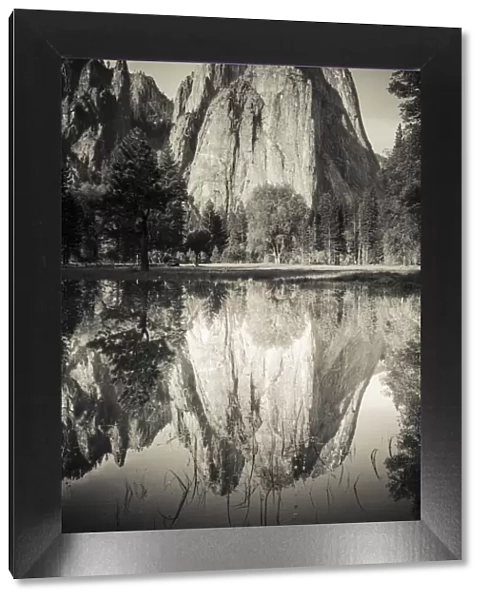 Cathedral Rocks reflected in pond, Yosemite National Park, California