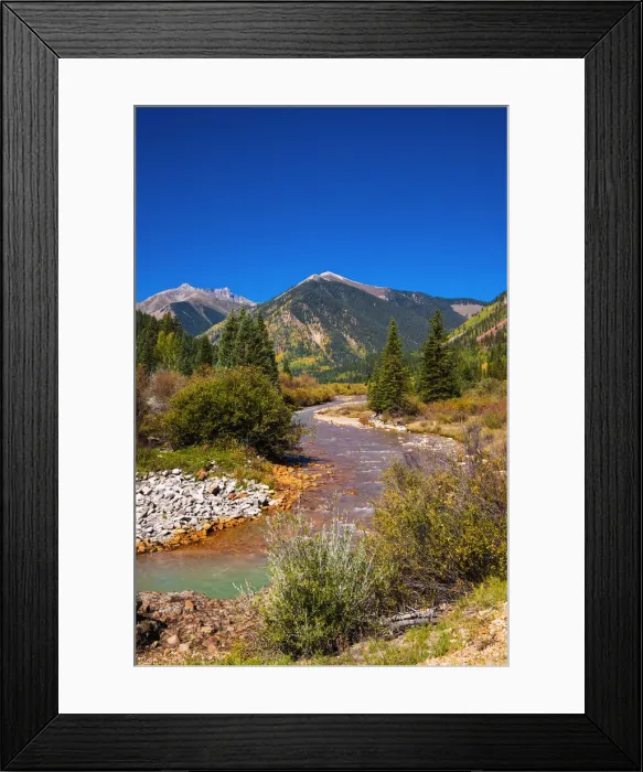 Framed Print : Fall color along Mineral Creek under Red Mountain Pass, San Juan National Forest
