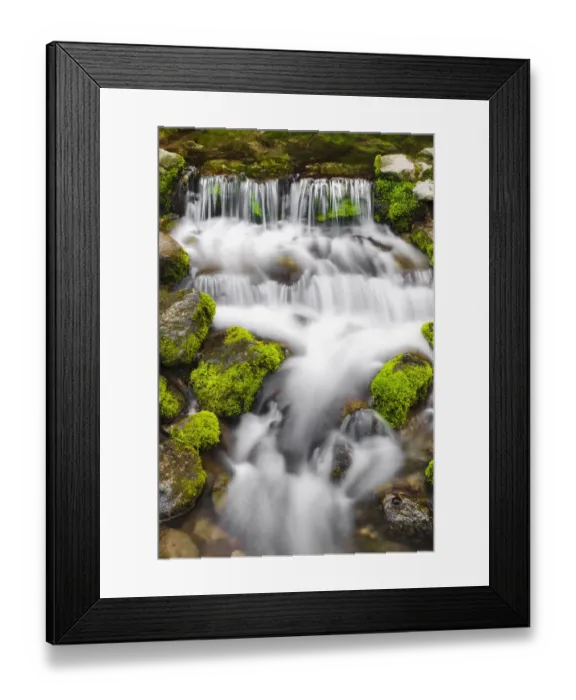 Framed Print : Fern Spring, Yosemite National Park, California, USA Framed Print : Fern Spring, Yosemite National Park, California, USA