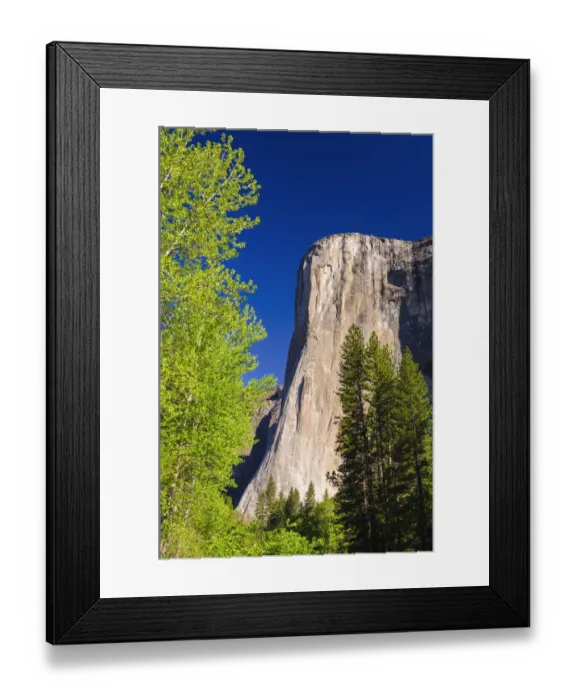 Framed Print : Morning light on El Capitan, Yosemite National Park, California, USA Framed Print : Morning light on El Capitan, Yosemite National Park, California, USA