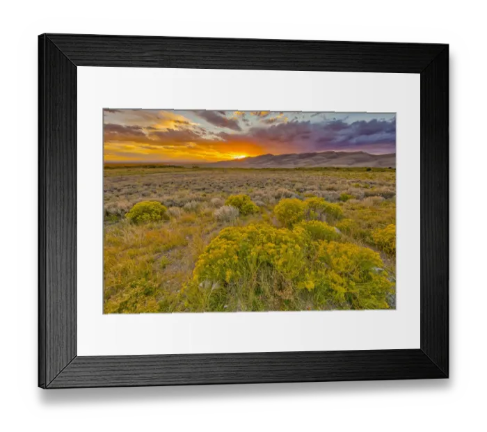 Framed Print : USA, Colorado, Great Sand Dunes National Park and Preserve. Sunset over dunes and plain Framed Print : USA, Colorado, Great Sand Dunes National Park and Preserve. Sunset over dunes and plain