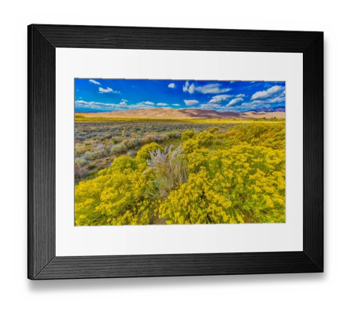 Framed Print : USA, Colorado, Great Sand Dunes National Park and Preserve. Landscape of plain and dunes Framed Print : USA, Colorado, Great Sand Dunes National Park and Preserve. Landscape of plain and dunes