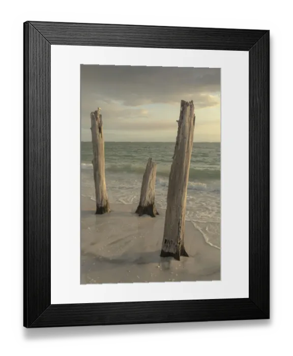 Framed Print : Lovers Key State Park, Florida Framed Print : Lovers Key State Park, Florida