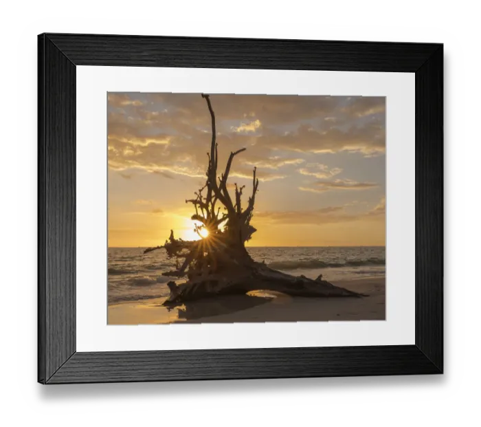 Framed Print : Sunset at Lovers Key State Park, Florida