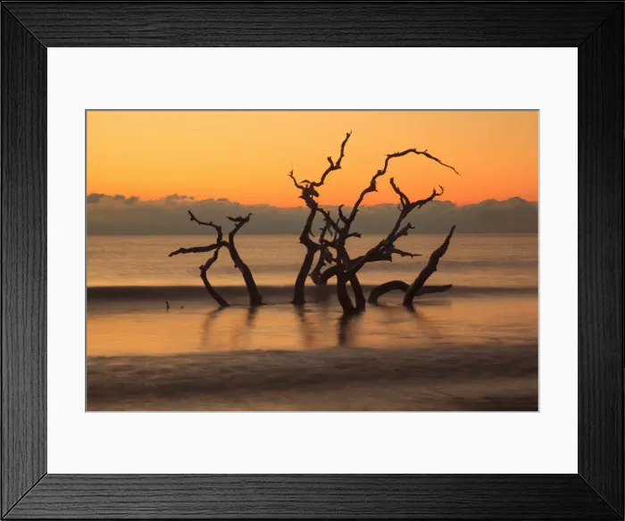 Framed Print : USA, Georgia. Jekyll Island, Driftwood Beach at sunrise