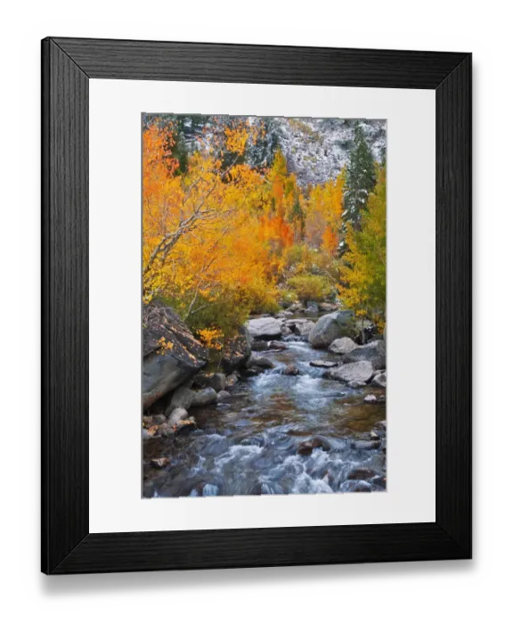 Framed Print : Fall color along Bishop Creek, Inyo National Forest, Sierra Nevada Mountains, California, USA Framed Print : Fall color along Bishop Creek, Inyo National Forest, Sierra Nevada Mountains, California, USA