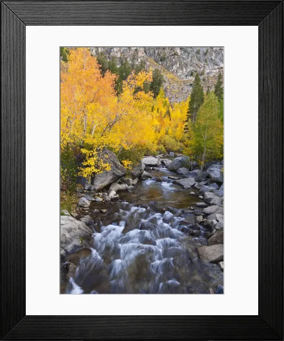 Framed Print : Fall color along Bishop Creek, Inyo National Forest, Sierra Nevada Mountains, California, USA