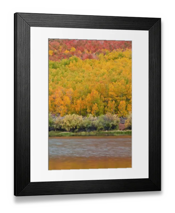 Framed Print : Fall color at North Lake, Inyo National Forest, Sierra Nevada Mountains, California, USA