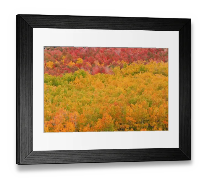 Framed Print : Fall color at North Lake, Inyo National Forest, Sierra Nevada Mountains, California, USA Framed Print : Fall color at North Lake, Inyo National Forest, Sierra Nevada Mountains, California, USA