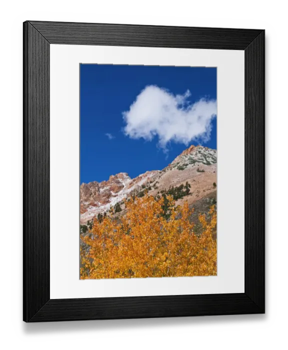 Framed Print : Fall color and early snow above North Lake, Inyo National Forest, Sierra Nevada Mountains Framed Print : Fall color and early snow above North Lake, Inyo National Forest, Sierra Nevada Mountains