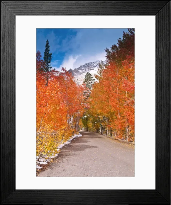 Framed Print : Fall color along the North Lake road, Inyo National Forest, Sierra Nevada Mountains Framed Print : Fall color along the North Lake road, Inyo National Forest, Sierra Nevada Mountains