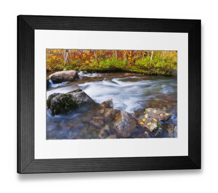 Framed Print : Fall color along Bishop Creek, Inyo National Forest, Sierra Nevada Mountains, California, USA