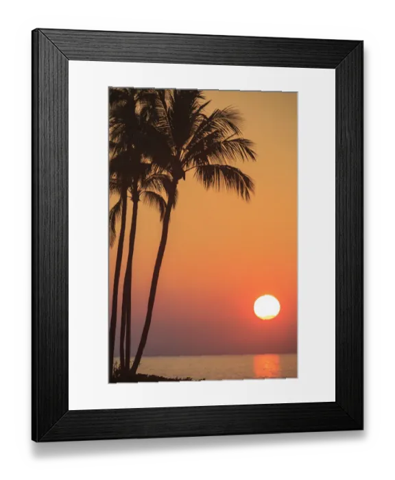 Framed Print : Maui, Hawaii, USA. Palm trees in the sunset Framed Print : Maui, Hawaii, USA. Palm trees in the sunset