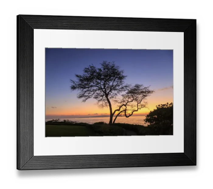 Framed Print : Maui, Hawaii, USA. Trees by the ocean at sunset Framed Print : Maui, Hawaii, USA. Trees by the ocean at sunset