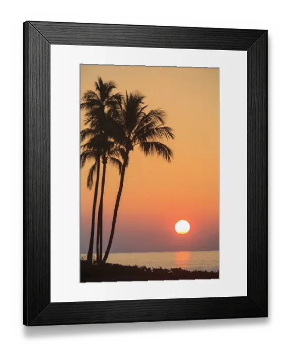 Framed Print : Maui, Hawaii, USA. Palm trees at sunset