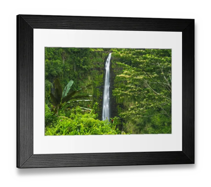 Framed Print : Akaka Falls, Akaka Falls State Park, Hamakua Coast, Big Island, Hawaii, USA