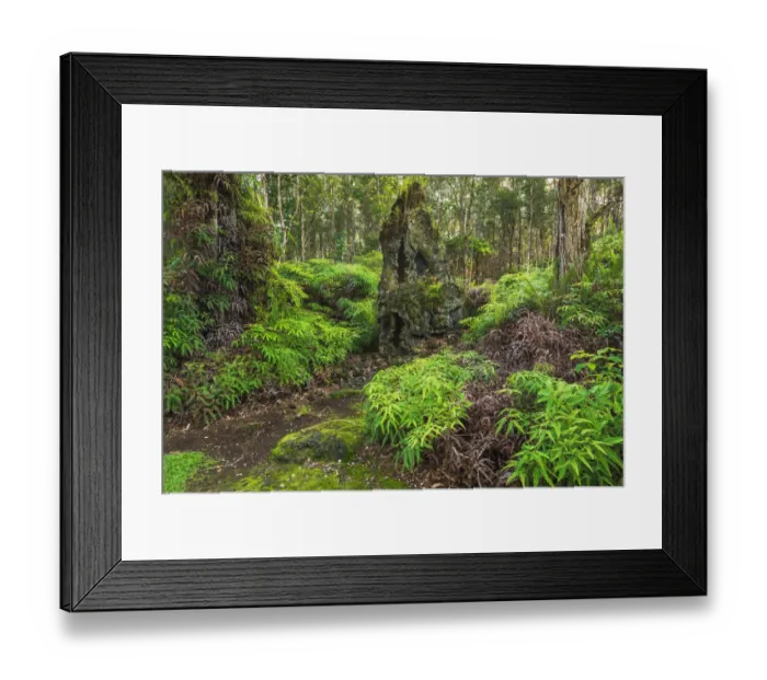 Framed Print : Lava tree molds, Lava Tree State Monument, Big Island, Hawaii, USA