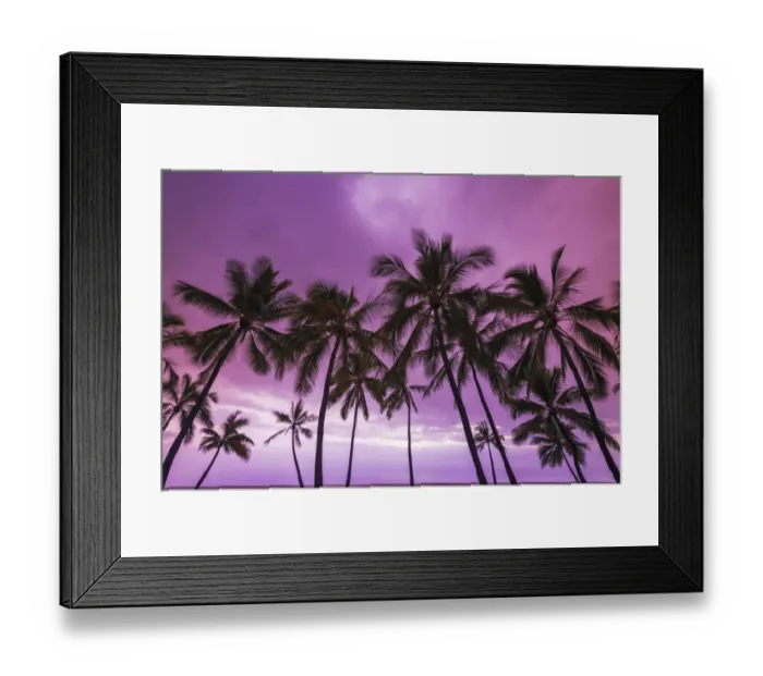 Framed Print : Sunset through palm trees at Pu uhonua o Honaunau National Historical Park (City of Refuge) Framed Print : Sunset through palm trees at Pu uhonua o Honaunau National Historical Park (City of Refuge)