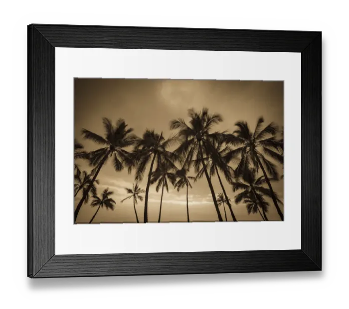Framed Print : Sunset through palm trees at Pu uhonua o Honaunau National Historical Park (City of Refuge)