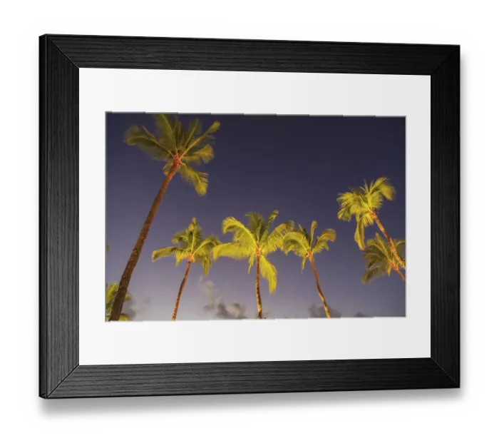 Framed Print : Maui, Hawaii, USA. Palm trees at sunset